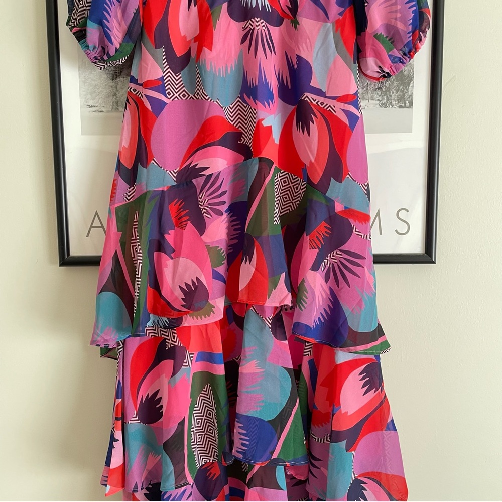 Hutch Louisa Dress Pink Multicolor Chiffon Maxi Size 0 NWT - Picture 10 of 17